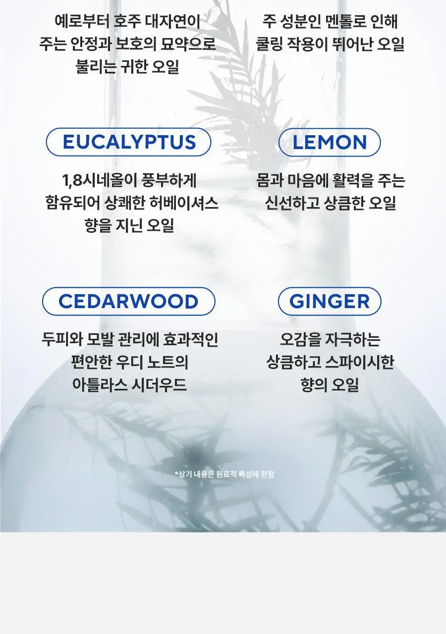 [피지순삭/탈모증상완화] 아로마티카 티트리 퓨리파잉 샴푸 400ml (단품/더블기획/리필) 상세페이지 20
